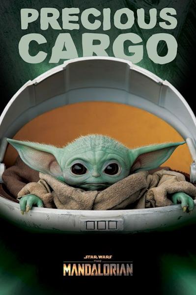 Star Wars: The Mandalorian - Poster : Precious Cargo  61 x 91 cm